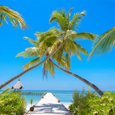 今天买什么特马手机app下载