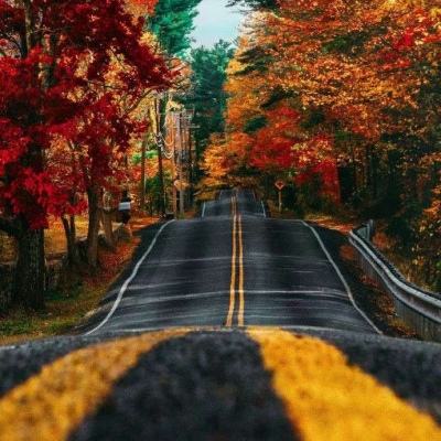 bb贝博官方平台下载