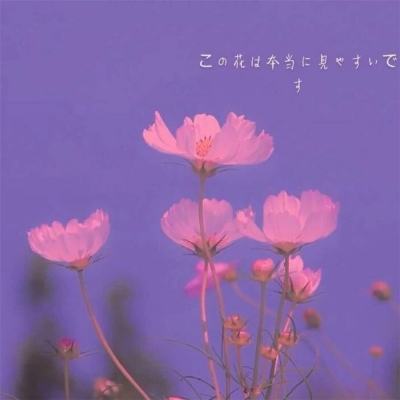 买大小单双彩票app