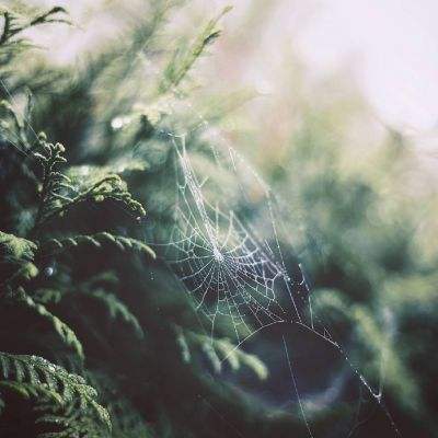 半岛综合APP下载