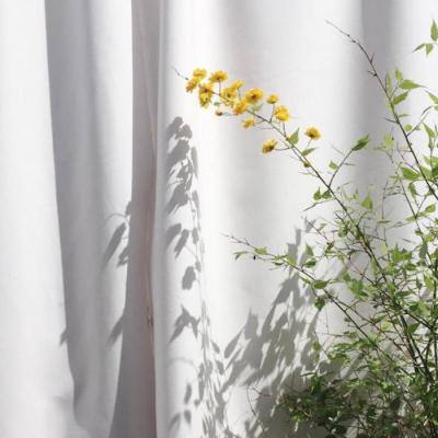 乐鱼平台app下载